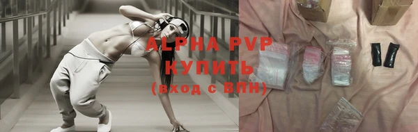 сатива Богданович