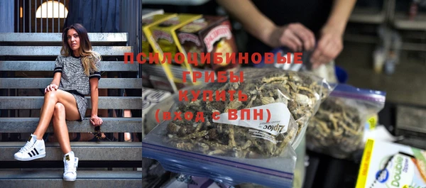 сатива Богданович