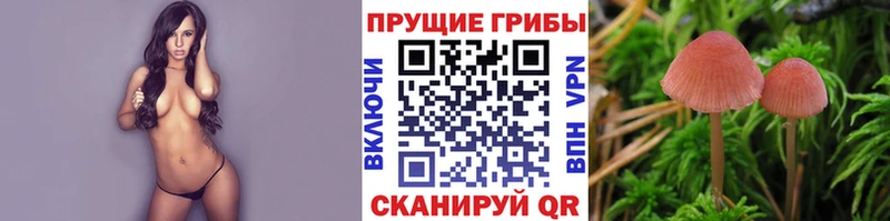 наркошоп  Краснокамск  Галлюциногенные грибы MAGIC MUSHROOMS 
